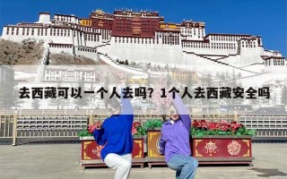 去西藏可以一个人去吗？1个人去西藏安全吗