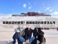 西藏旅游的感受？西藏旅游的感受怎么写