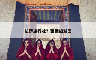 拉萨旅行社？西藏旅游团